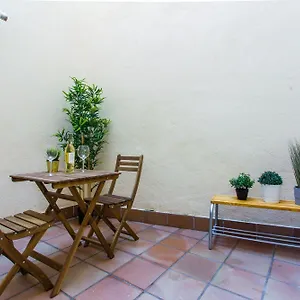 Friendly Palmer Apartment
